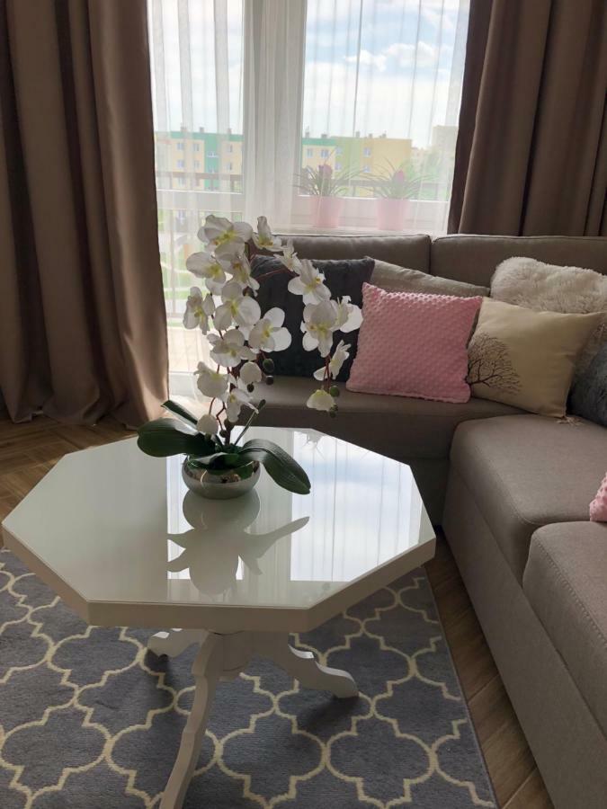Family & Business Elegant Apartments Ul Warszawska - 2 Bedroom, Balcony, Parking 키엘체 외부 사진